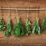 Πως να συντηρήσουμε τα βότανά μας