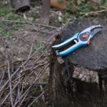 Χρήσιμες συμβουλές για το κλάδεμα