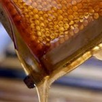 Τι πρέπει να ξέρουμε για το μέλι…