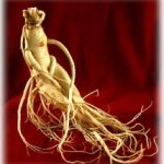 Το Ginseng, η ρίζα της ζωής