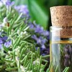 Δεντρολίβανο για καλή μνήμη