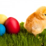 Βάφουμε τα πασχαλινά αυγά παραδοσιακά και οικολογικά