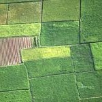 8 παράγοντες αγροτικής επιτυχίας