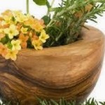 Η ιστορία των βοτάνων.