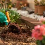 Ο καλός κηπουρός τον Ιανουάριο