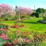 Χρήσιμες συμβουλές για τα φυτά σας την άνοιξη