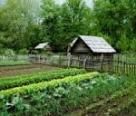 Επιβίωση μετά από οικονομικό κραχ.