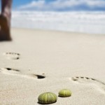 Τι να κάνετε αν πατήσετε αχινό!