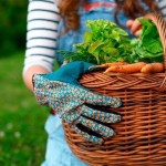 Σχεδιάστε σωστά τον λαχανόκηπό σας