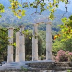 Η Σαμοθράκη, ένα μικρό «θαύμα» βιοποικιλότητας