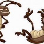 Πώς να εξολοθρεύσετε τις κατσαρίδες στο σπίτι σας