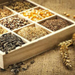 Bασικές Oδηγίες Συγκομιδής Σπόρων