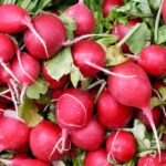 Ραπανάκι, η καλλιέργεια και η διατροφική του αξία.