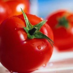 Το σημαντικό λάθος που κάνουμε με τις ντομάτες μας