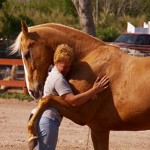 Τα άλογα αναγνωρίζουν τα ανθρώπινα συναισθήματα