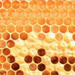 Πρακτικές συμβουλές για νέους μελισσοκόμους