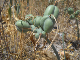 fc1a27f948e5ce31ab5c05d28f927b86