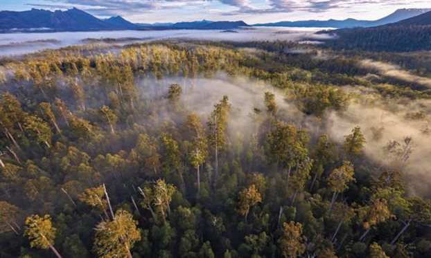 EB5B256B0FC89DA78219FC2C7740F7A0