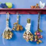 Πώς αποξηραίνω τα λουλούδια;