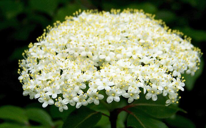 4cd74f1e843c0b06e501e233749c