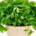 Καλλιεργήστε… το φαρμακείο σας!