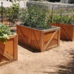 Υπερυψωμένα παρτέρια στον οικιακό μας λαχανόκηπο