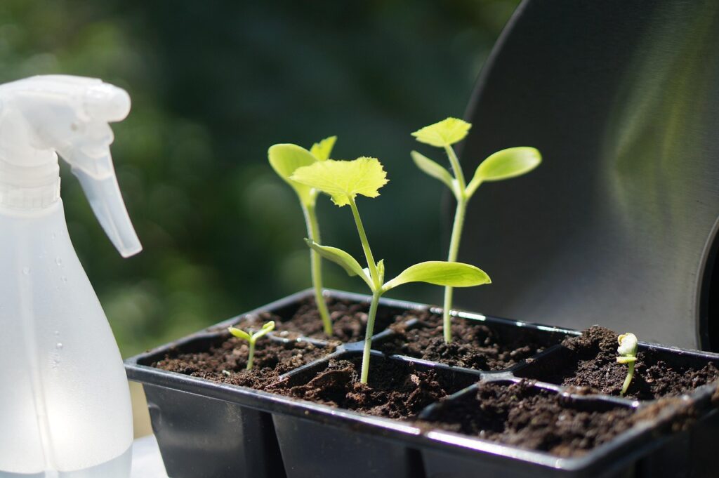 Φεβρουαριος
