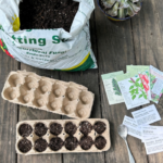 Έναρξη σποράς εσωτερικού χώρου: Οι καλύτερες καλλιέργειες για να ξεκινήσετε τον Φεβρουάριο