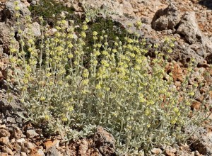 5624458404_e642ae1d62_o