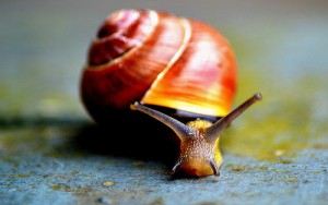 7589222946_f1274c6930