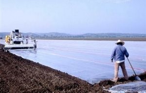 C290C081A8D101B70B18A79A37F926E0