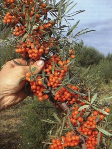 CE-95-CE-B9-CE-BA-CF-8C-CE-BD-CE-B14-CE-99-CF-80-CF-80-CE-BF-CF-86-CE-B1-CE-B5-CF-82