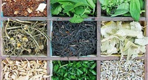 CE-97-CE-9C-CE-95-CE-A1-CE-99-CE-94-CE-91-CE-93-CE-99-CE-91-CE-A4-CE-91-CE-91-CE-A1-CE-A9-CE-9C-CE-91-CE-A4-CE-99-CE-9A-CE-91-CE-A6-CE-91-CE-A1-CE-9C-CE-91-CE-9A-CE-95-CE-A5-CE-A4-CE-99-CE-9A-CE-91-CE-A6-CE-A5-CE-A4-CE-91-460x250