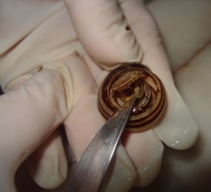 CF-86-CF-89-CF-84-CE-BF-1