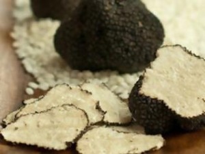 troufa-o-ypogeios-karpos-1-315x236