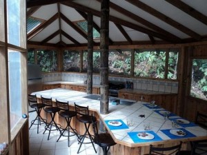 Perierga.gr - Σπίτια πάνω σε δέντρα!