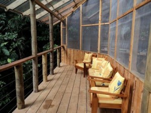 Perierga.gr - Σπίτια πάνω σε δέντρα!