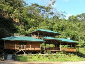 Perierga.gr - Σπίτια πάνω σε δέντρα!