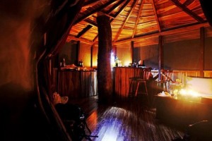 Perierga.gr - Σπίτια πάνω σε δέντρα!