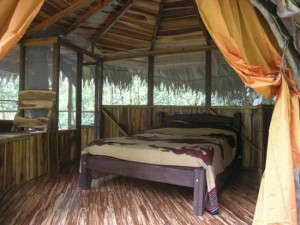 Perierga.gr - Σπίτια πάνω σε δέντρα!