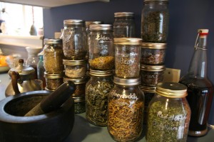 dried-herbs-in-jars