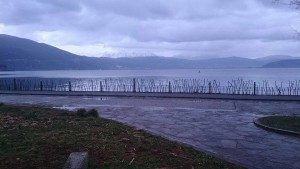 11000051_751984978229970_5939178740231955346_n