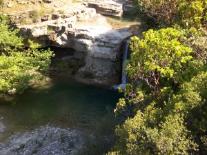 My beautiful picture