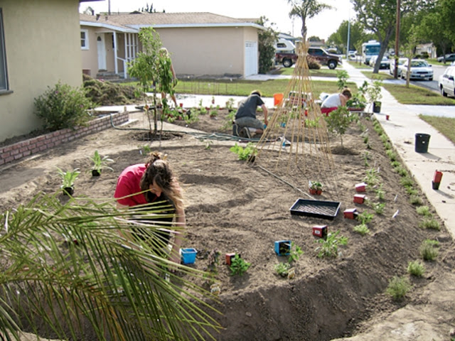 Stamatis Sekliziotis 11 (πώην γκαζόν μετρέπεται σε λαχανόκηπο)