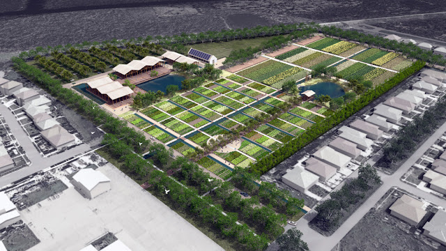 Stamatis Sekliziotis 9 (Λαχανοκηποι κοινότητας Βιετναμέζων Ν. Ορλανη ΗΠΑ)