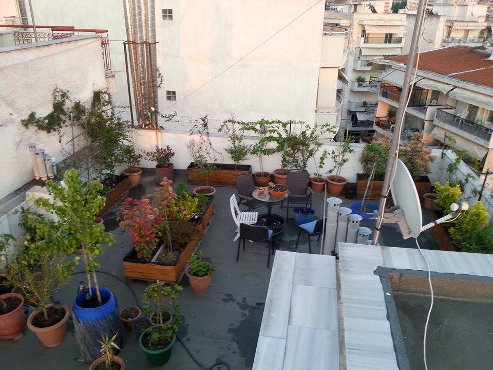 11119802_971572966211040_979658352_n