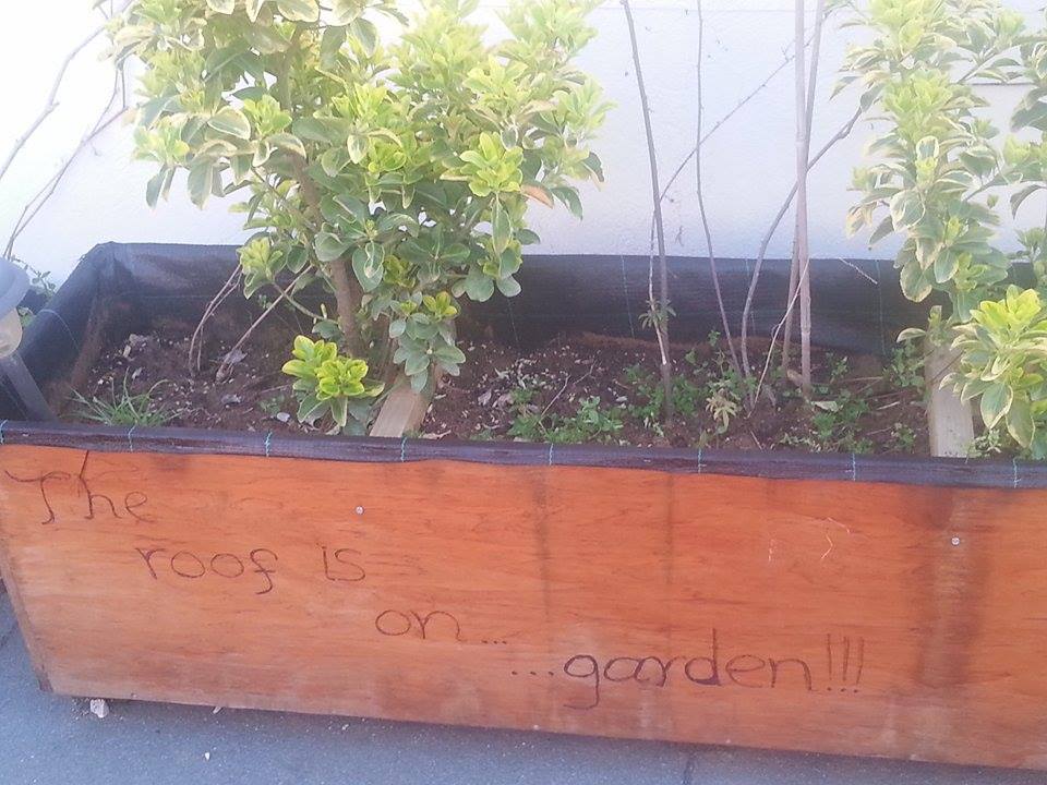 11160092_971572496211087_478420098_n