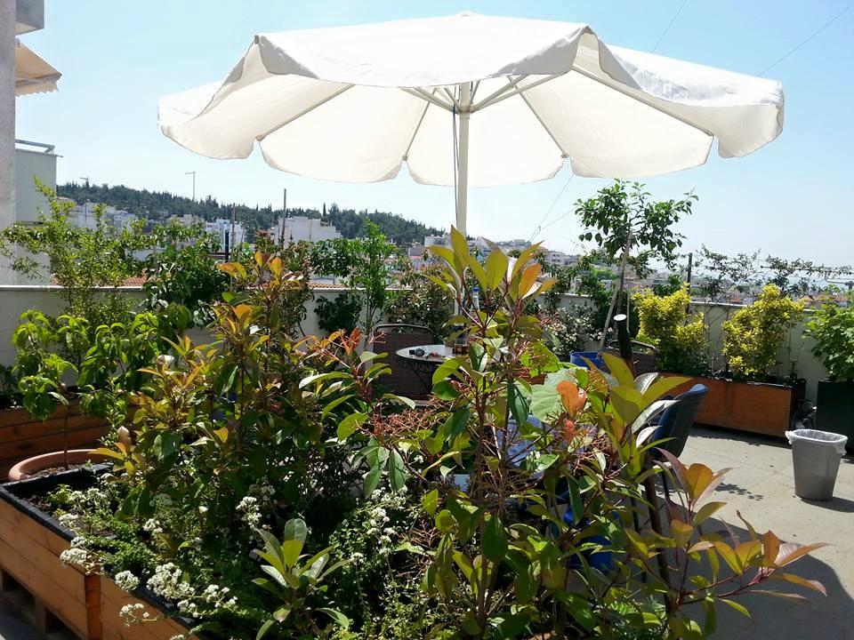 11390176_999081576793512_2490283021384923855_n