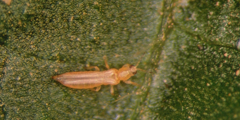 d383d2a7f18b38f50f531c6f6759cc5a_L