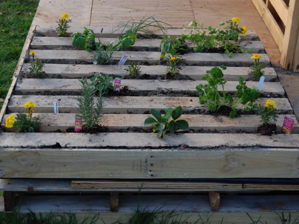 diy-κήπος-από-παλέτα